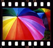 Colori